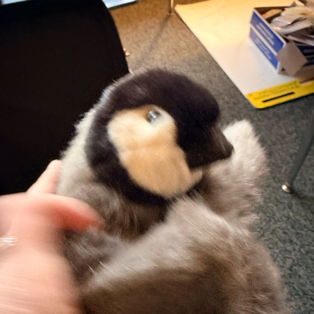 Folkmanis hand puppet Plush Penguin Toy for Small Pets - Picture 3 of 8
